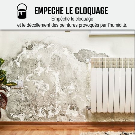 Peinture anti humidité pour des murs humides de salle de bain ou cave : ARCASCREEN ANTI HUMIDITE-10 L (jusqu'à 40 m²) -ARCANE INDUSTRIES