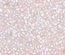 FARNESE AMALFI ROSE 30 x 30 cm - Carrelage aspect terrazzo rose