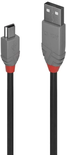 Cable Lindy USB 2.0 type A - Mini B M/M 50cm (Gris)