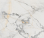 MARBLELOUS R 120x120 cm - Carrelage effet marbre mate