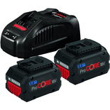 Pack de 2 batteries 18V Procore 55Ah + chargeur rapide - BOSCH - 1600A0214C