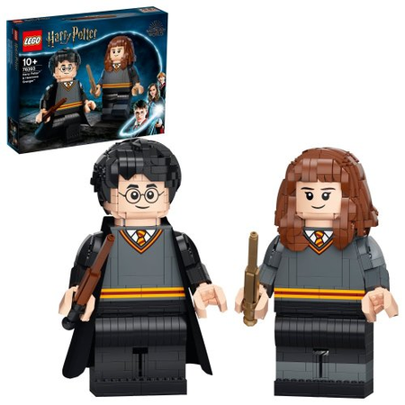 Harry Potter et Hermione Granger (76393)