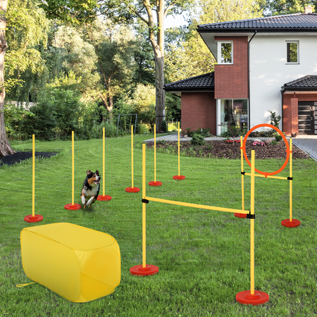 Agility sport pour chiens équipement complet haies, slalom, tunnel + sac de transport jaune