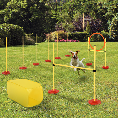 Agility sport pour chiens équipement complet haies, slalom, tunnel + sac de transport jaune