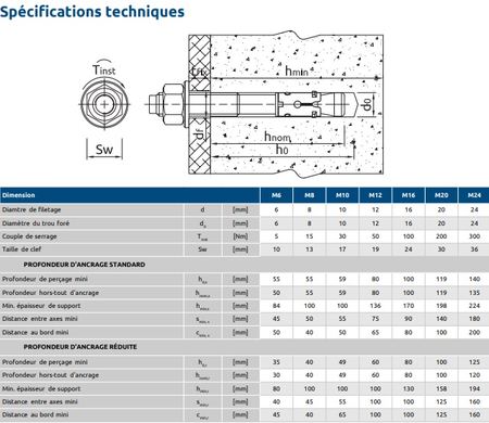 Goujons d'ancrage pour béton non fissuré 8X95 boîte de 100 - RAWL - R-XPT-08095/30