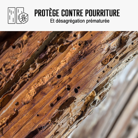 Traitement Mérule pour mur, caves, charpente, bois - ARCAPROTECT BOIS