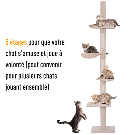 Arbre à chat 5 niveaux d'activités