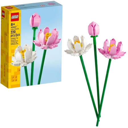 Les fleurs de lotus (40647)