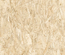 STRAND NATURAL Carrelage aspect bois OSB  120x120 cm