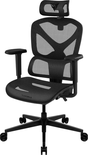 Fauteuil ergonomique ThunderX3 YTC (Noir)