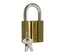 Cadenas ZENITH 45 2 clés hauteur de anse 145 mm - ISEO - 02052201A140G