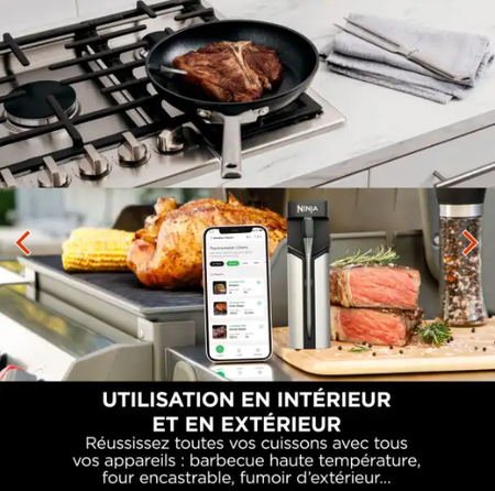 Thermosonde à viande sans fil Ninja ProChef WP100EU