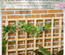Jardinière 3 niveaux avec treillis bois sapin pré-huilé
