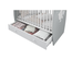 POLINI KIDS OURSON TEDDY Lit NEVA 120*60 avec tiroir blanc/gris