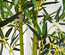Bambou artificiel hauteur 1,2 m 552 feuilles & lichen denses réalistes pot inclus noir