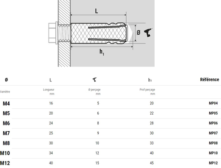 Chevilles Laiton M12 12X38 boîte de 25 - SCELL-IT - MP12