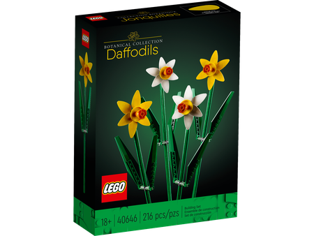 Les jonquilles (40646)