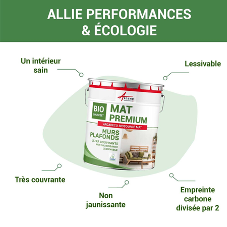 Peinture mate mur et plafond : ARCADÉCO BIOSOURCÉ-2.5 L (+ ou - 30m² par couche) Vert clair - RAL 6027-ARCANE INDUSTRIES