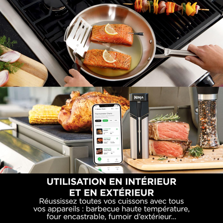 Thermosonde à viande sans fil Ninja ProChef WP100EU