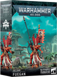 Warhammer 40k - Aeldari Fuegan