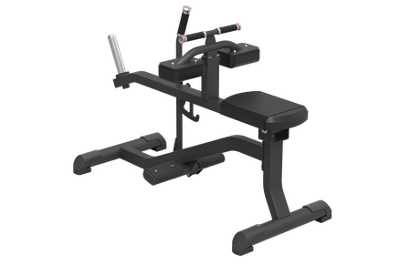 Seated Calf Machine