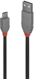 Cable Lindy USB 2.0 type A - Micro B M/M 2m (Gris)