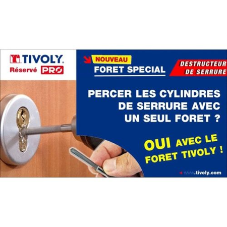 Destructeur de cylindre carbure diamètre 6mm - TIVOLY - 82400110001