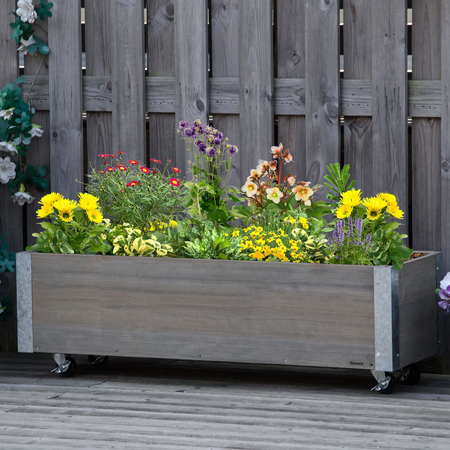 Jardinière sur roulettes inserts d'irrigation, feutre drainage métal sapin gris