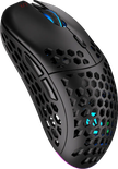 Souris sans fil Gamer Endorfy Lix RGB (Noir)
