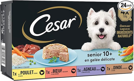 CESAR Repas pour Chien Senior - 24 Barquettes (Lot de 6 Packs 4x150g)