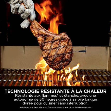 Thermosonde à viande sans fil Ninja ProChef WP100EU