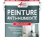 Peinture anti humidité pour des murs humides de salle de bain ou cave : ARCASCREEN ANTI HUMIDITE-10 L (jusqu'à 40 m²) -ARCANE INDUSTRIES