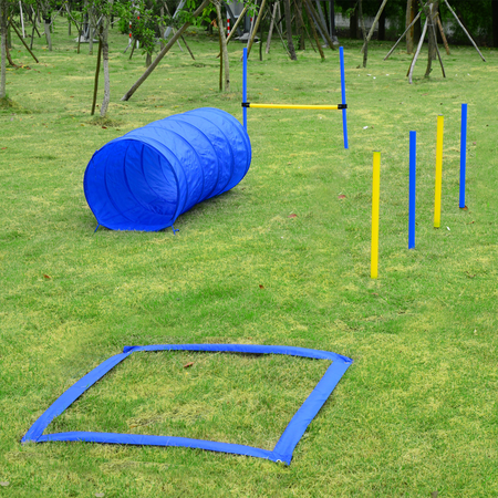 Agility sport pour chiens équipement complet bleu jaune