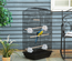 Cage à oiseaux volière avec perchoirs mangeoires noir