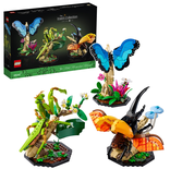 La collection d’insectes (21342)