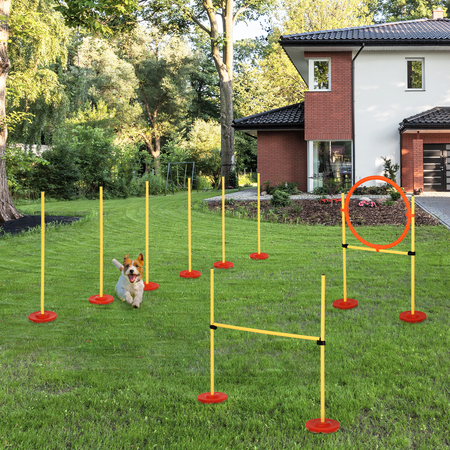 Agility sport pour chiens équipement complet haies, slalom + sac de transport jaune