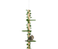 Arbre à chat poteau à griffer design hauteur réglable H.202- 242H cm