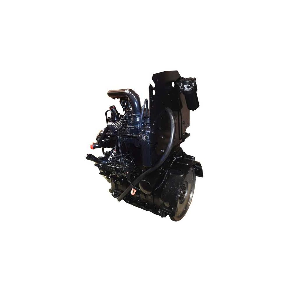 Moteur complet SISU pour groupe indépendant 33 DT 3.3L 3 cylindres pour MASSEY FERGUSON