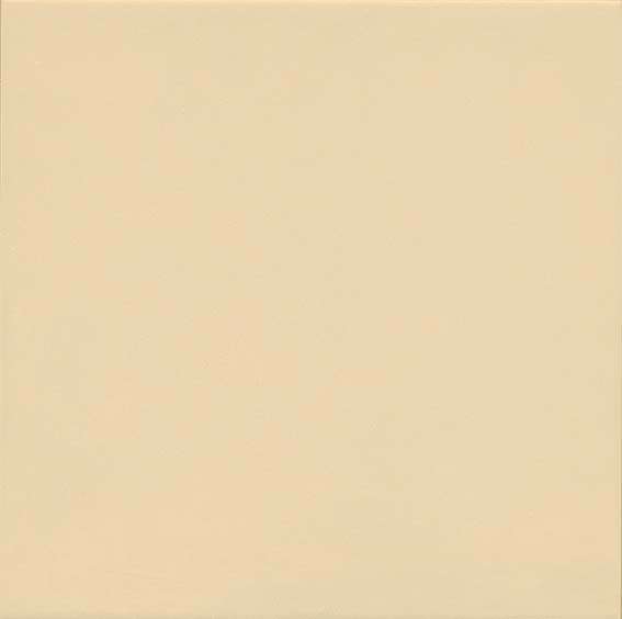 1900 MARFIL CREME 20 x 20 cm Carrelage uni beige