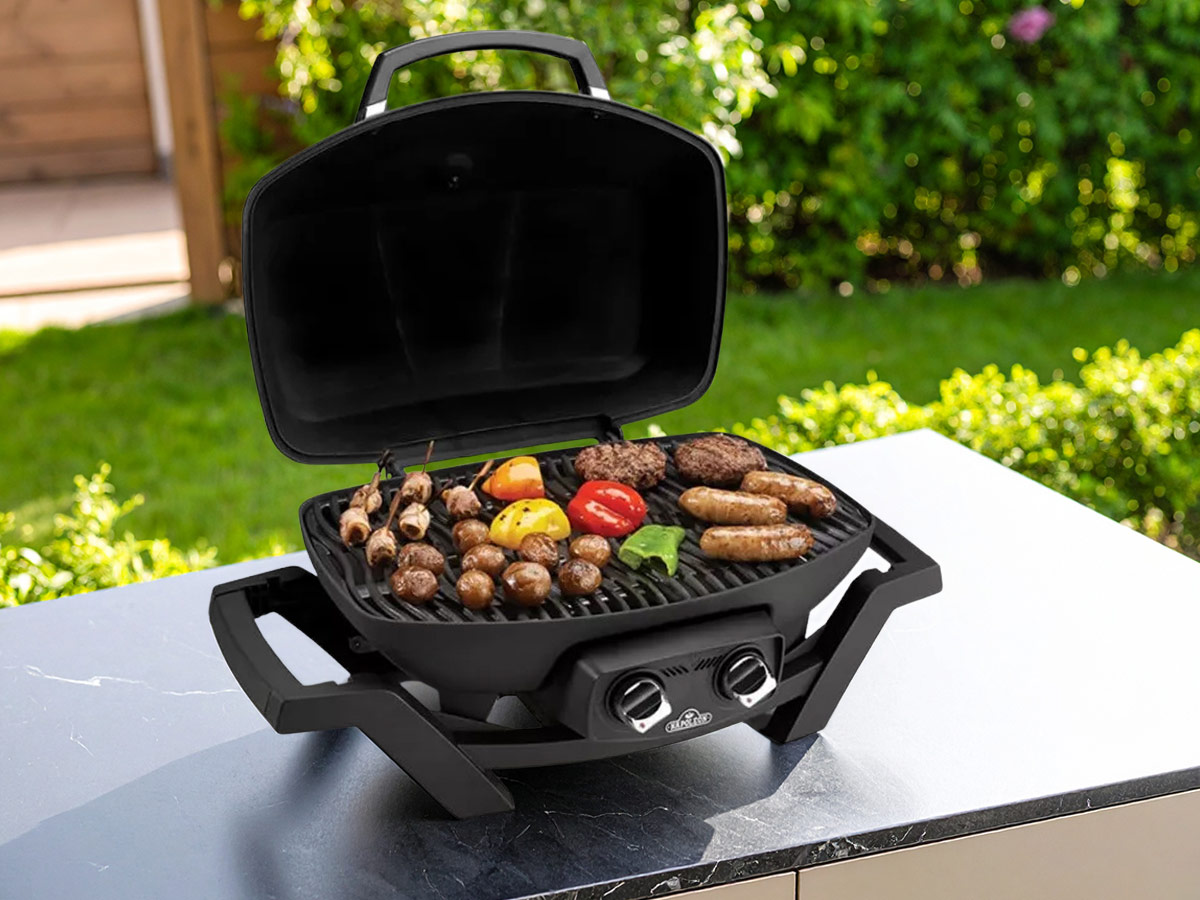 Barbecue à gaz Travel Q PRO 285 - Napoleon