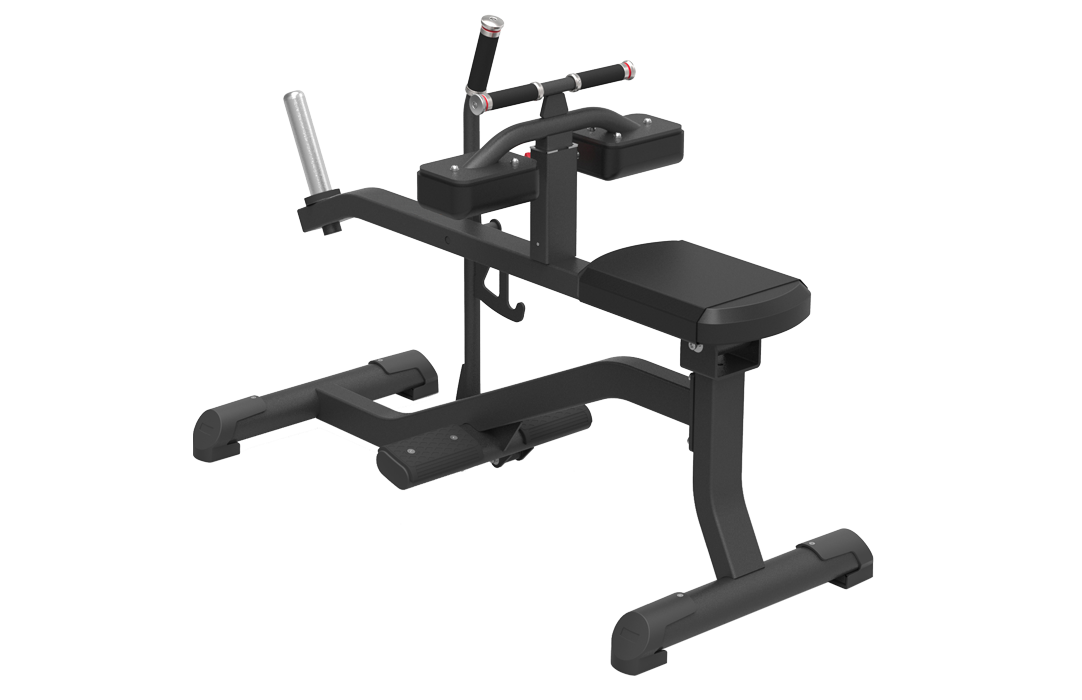 Seated Calf Machine