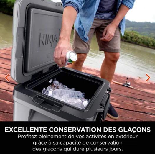 Ninja FrostVault 28 L Glacière roulante avec zone sèche, Gris Ardoise FB230EUGY