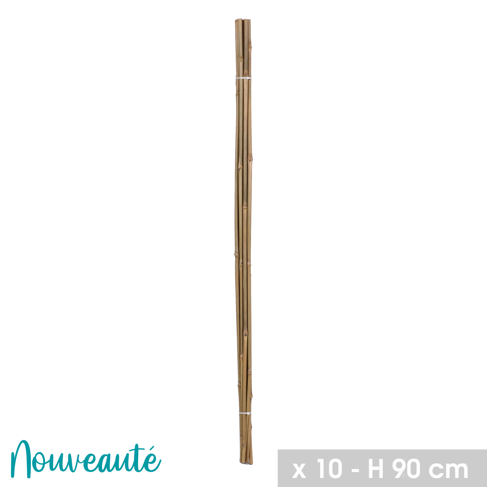 Lot de 10 tuteurs en bambou H90cm x D8/10 - 16566