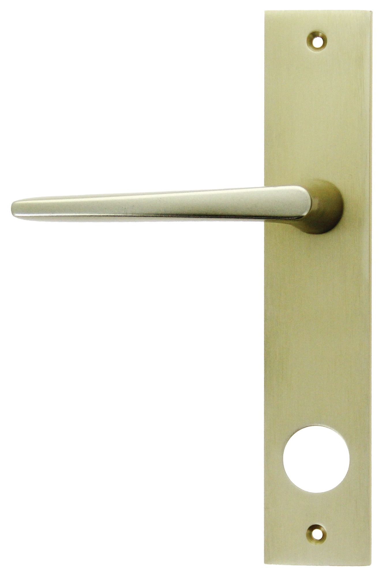 Poignée palière pour Sans souci 690 droite - FICHET - 73815103