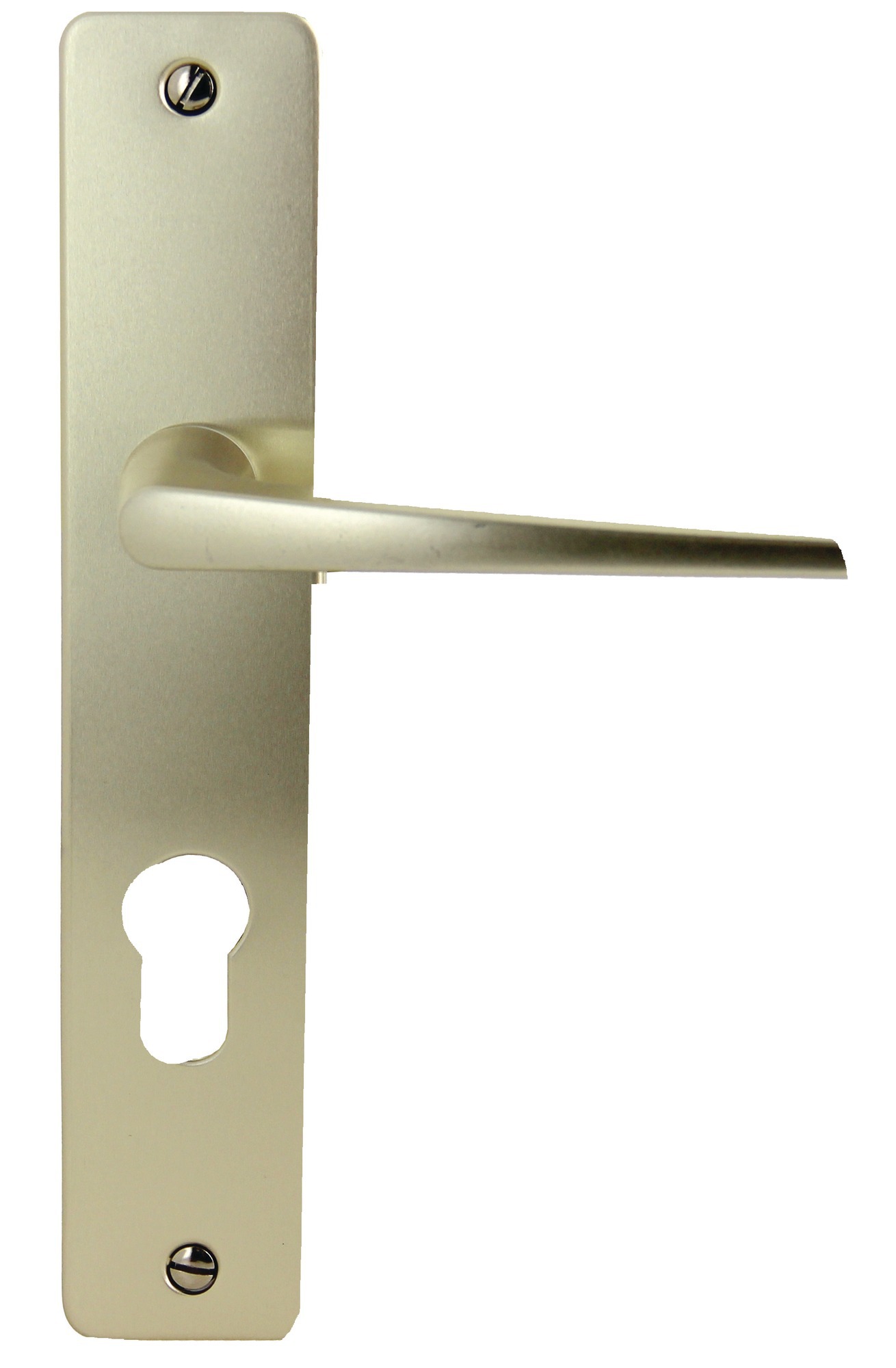 Poignée mobile/fixe pour serrure PALIERIS G351 gauche - FICHET - 72414694