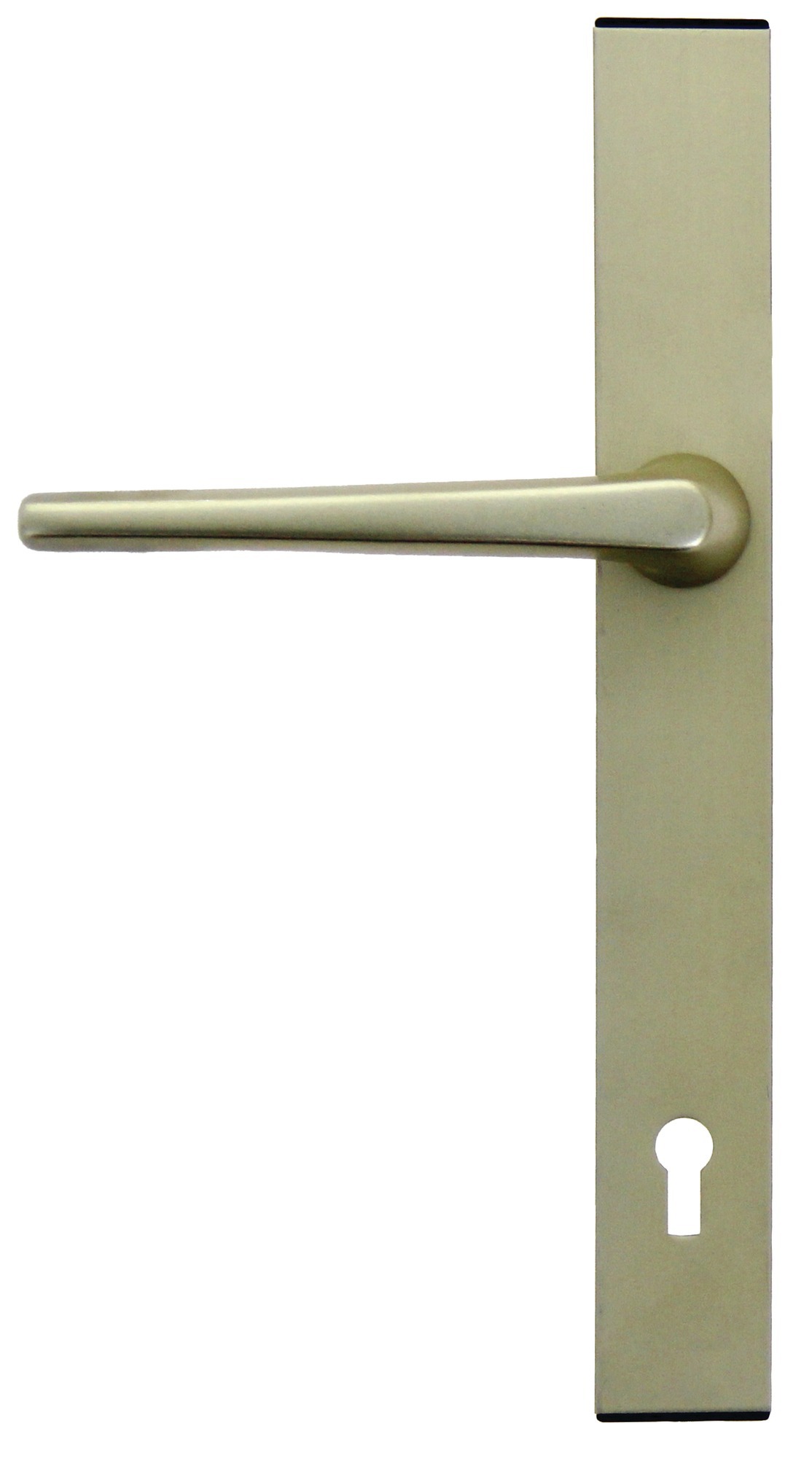 Poignée mobile/mobile pour Sans souci 2 clés - FICHET - 73880030