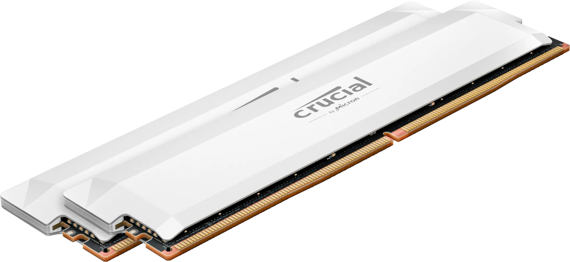 Kit Barrettes mémoire 32Go (2x16Go) DIMM DDR5 Crucial Pro OC Gaming 6000MHz (Blanc)