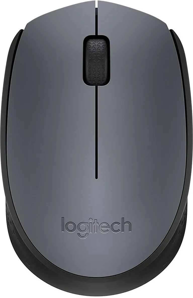 Souris sans fil Logitech M170 (Gris)