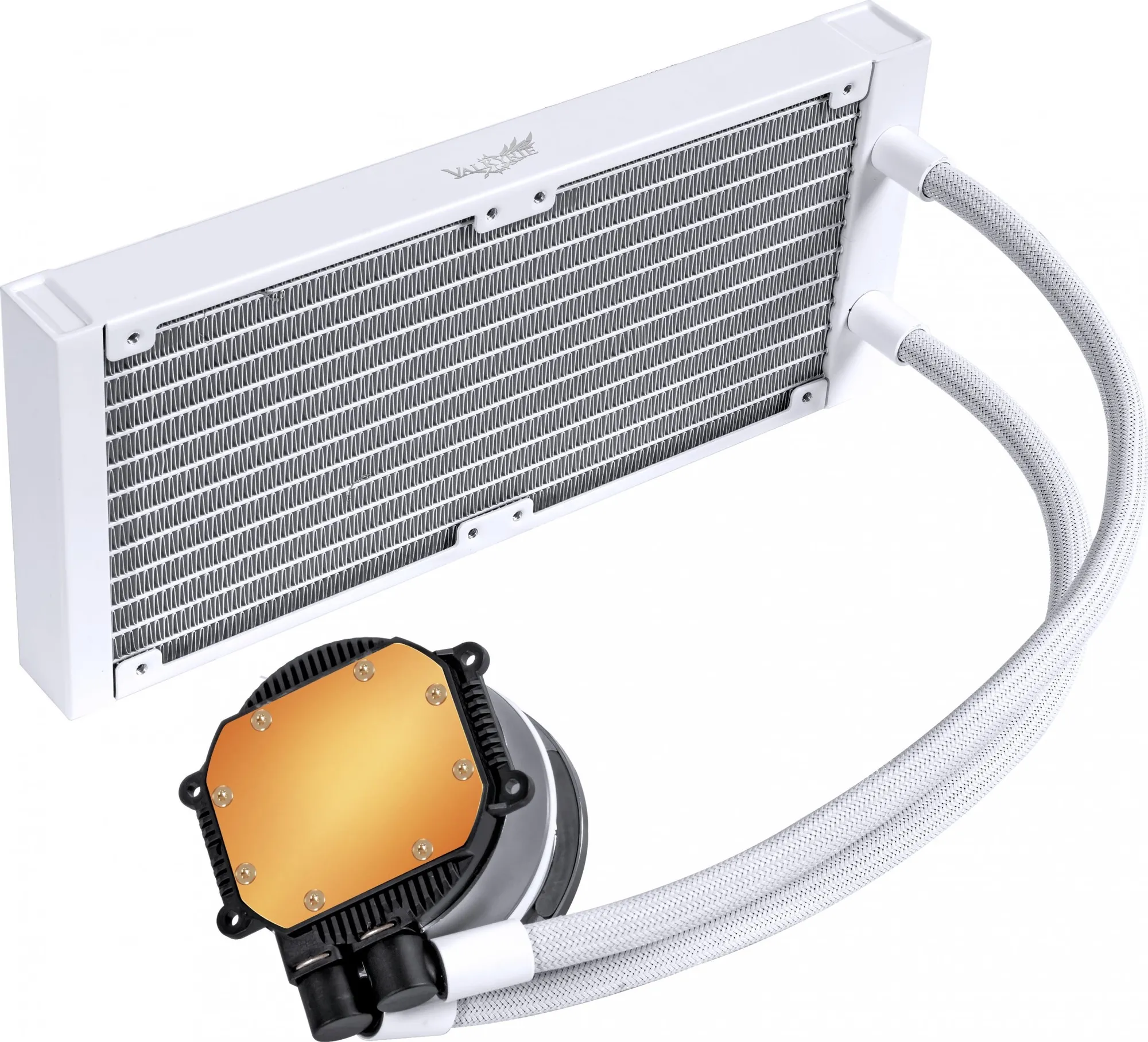 Kit Watercooling AIO Valkyrie Dragonfang RGB - 240mm (Blanc)