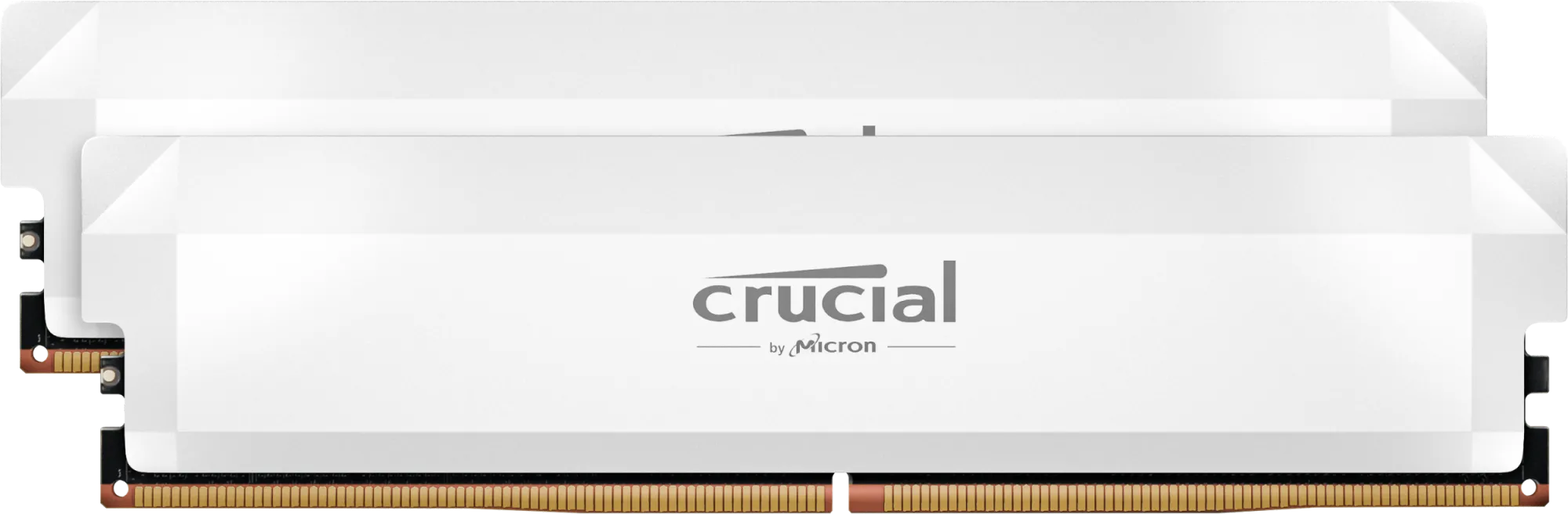 Kit Barrettes mémoire 32Go (2x16Go) DIMM DDR5 Crucial Pro OC Gaming 6400MHz (Blanc)